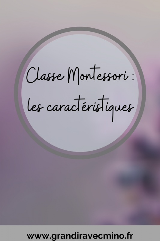 Affiche Classe Montessori: Les caractéristiques