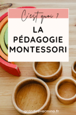 Pédagogie Montessori: Le Guide Pour Mettre En Pratique Cette Pédagogie