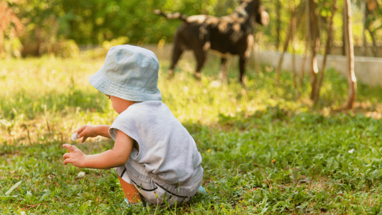 Montessori et nature : éveiller bébé à l’environnement naturel