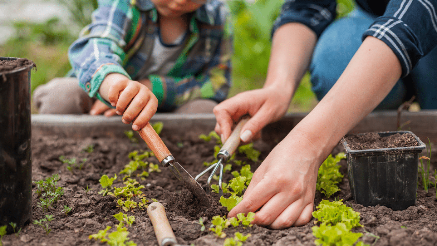 potager en famille : jardiner avec des enfants