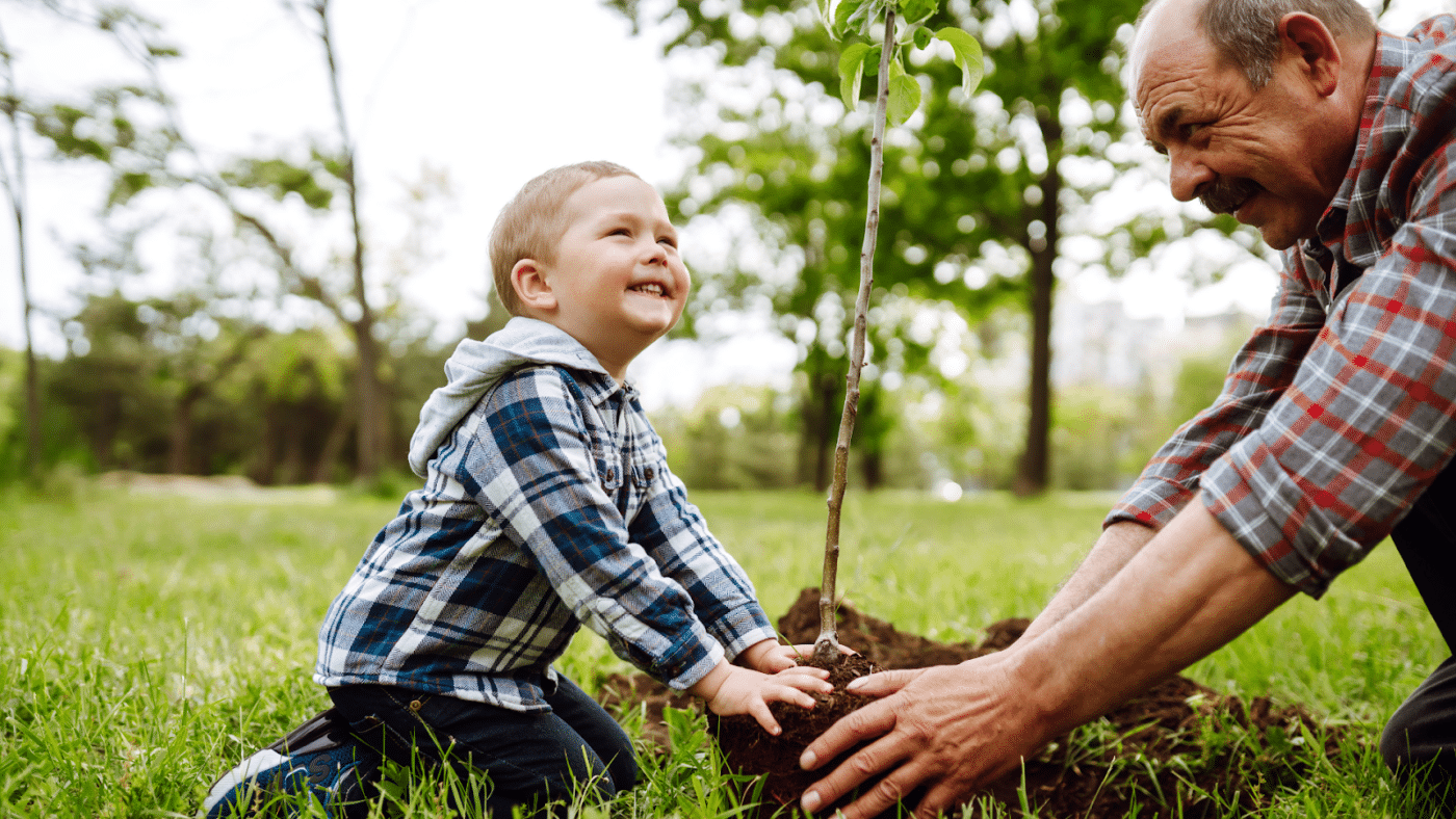 planter un arbre pour la naissance d'un enfant