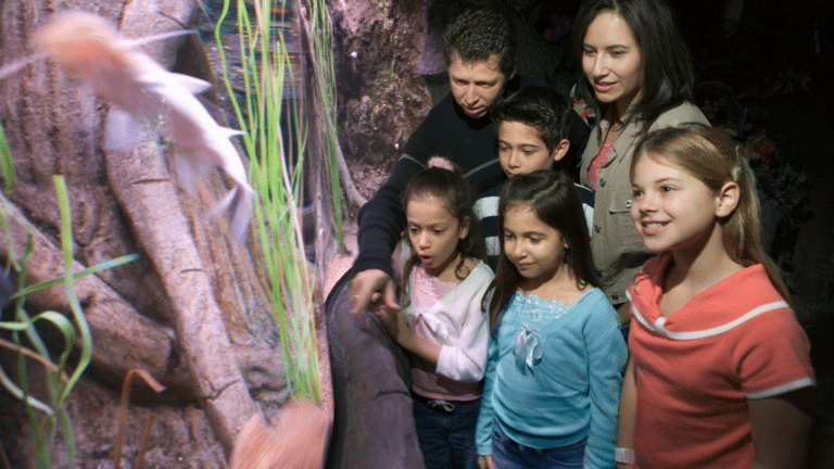 Top 4 des aquariums à visiter avec vos enfants : Une aventure sous-marine inoubliable