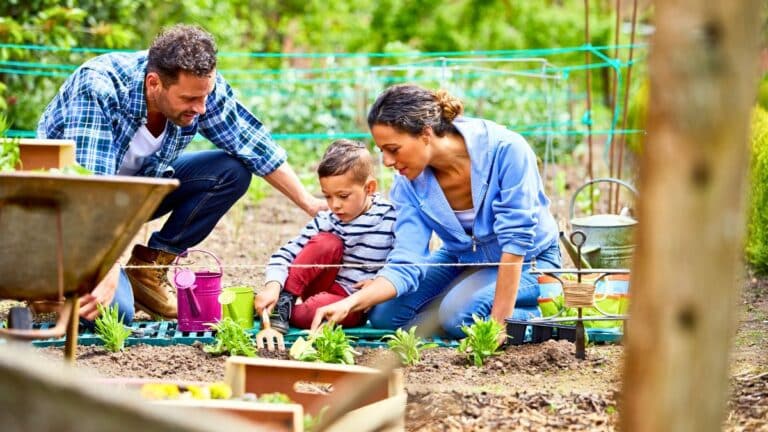jardinage partagez un moment de complicité avec vos enfants en plantant ces légumes faciles