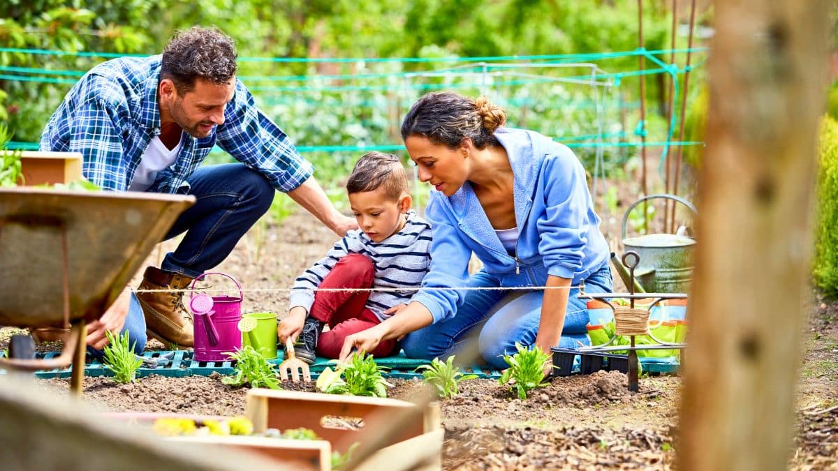 jardinage partagez un moment de complicité avec vos enfants en plantant ces légumes faciles