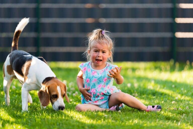 chienne fait geste bébé pleurer