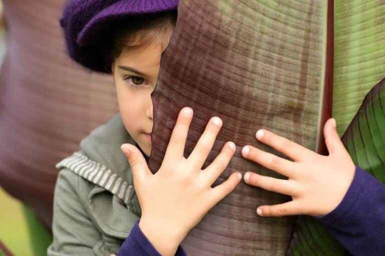 aider votre enfant timide