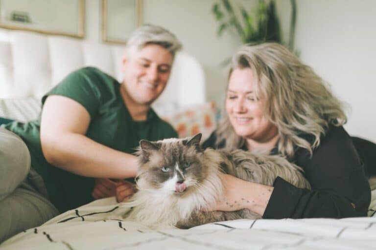 animal domestique coupable l'infertilité masculine
