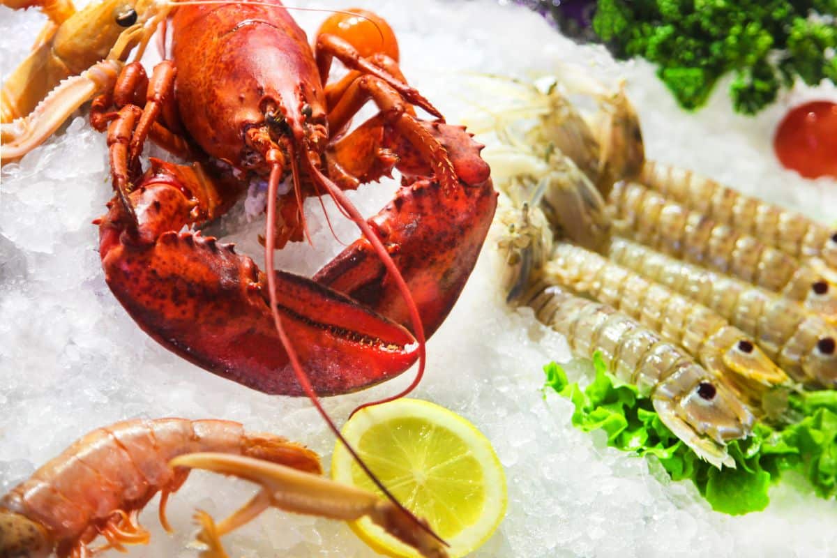 aliments glacière plage