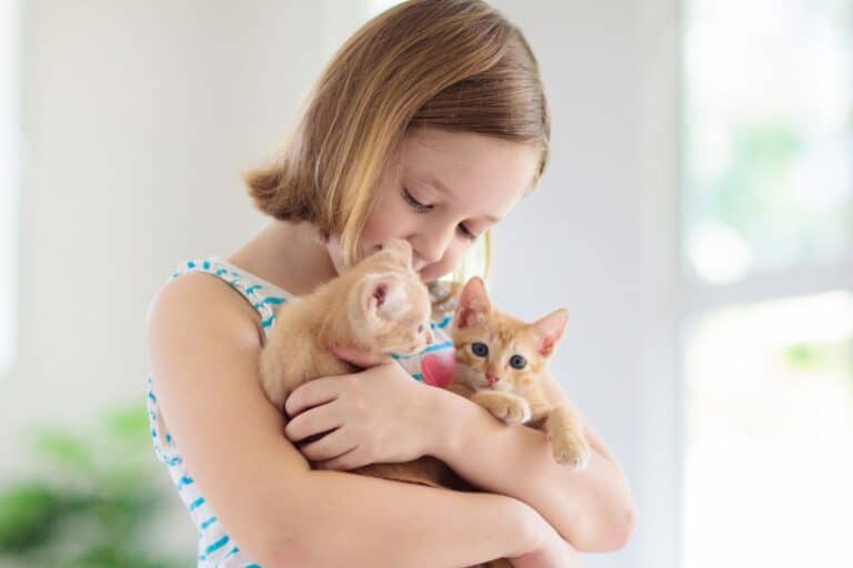 parler mort animal compagnie enfant