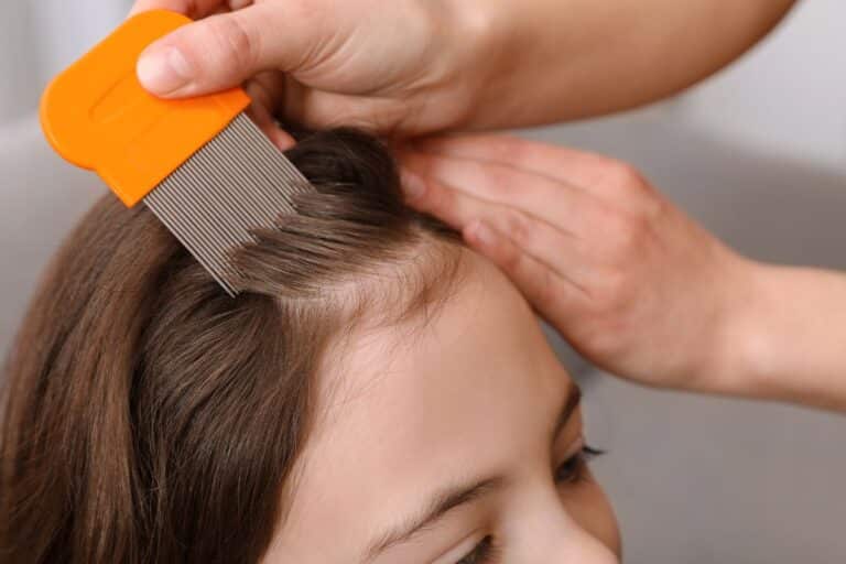 solutions pour se débarrasser poux