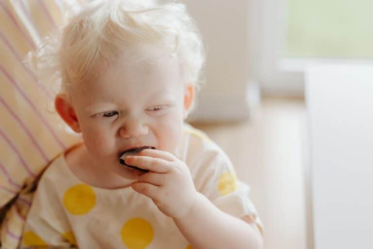 biscuits apéro pour bébés