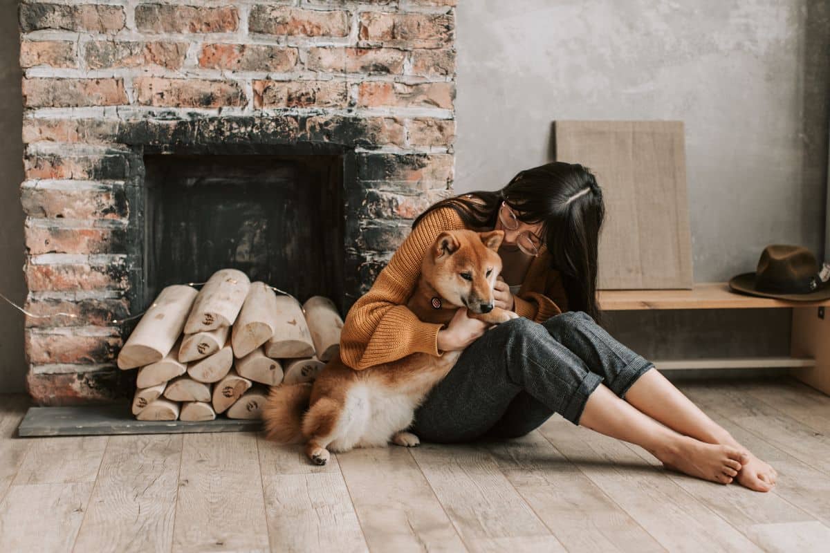 jeunes gen z préfèrent élever chien